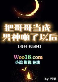 把哥哥当成男神了之后 书