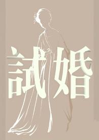试婚丫鬟电视剧