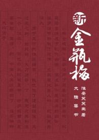 新金瓶梅传起