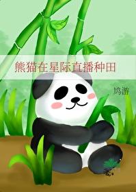 熊猫穿越星际的