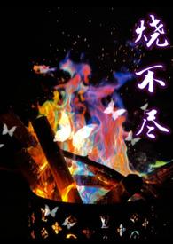 烧不尽by回南雀简介