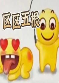 区区五根讲的什么