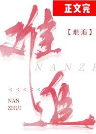 难追TXT