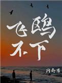 飞鸥不下by回南雀TXT完整版