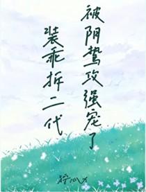 装乖攻是谁