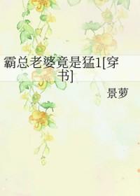 霸总宠老婆宠萌宝