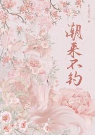 潮来潮往最佳答案