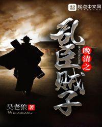 乱贼臣子是什么意思