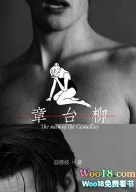章台柳娱乐圈原著叫什么