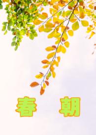 春朝晴朗电视剧免费播放在线观看