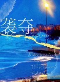 袭夺讲的什么