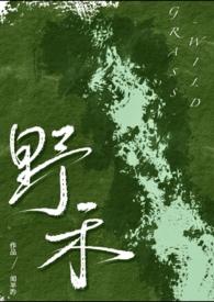 伪兄妹贴吧推荐