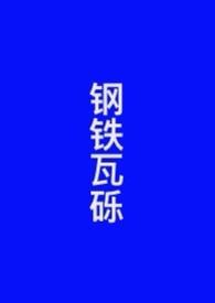 钢铁瓦砾by罗群讲什么