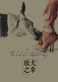败犬属性是什么意思