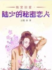 独宠旧爱陆少的秘密恋人讲了什么