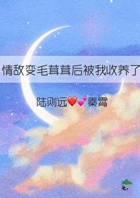 情敌变成了我的猫怎么办在线等急by雨