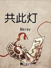 共此灯烛光打一生肖