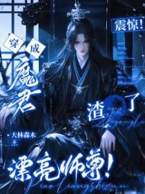 穿成了魔尊的妻主怎么办濂衣