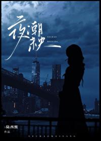 夜未央什么意思?