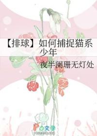 排球少年研磨猫猫过场动画
