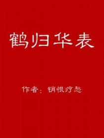 放鹤归华表