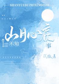 山月不知心底事简介
