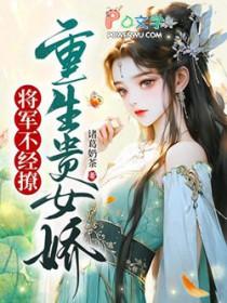 贵女vs将军