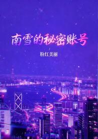 南雪指什么
