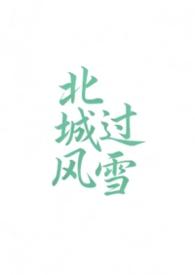 北城晚风起江雪薇全文免费阅读