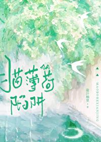 猫薄荷点org