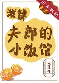 泼辣夫郎的小饭馆txt盘