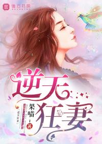 逆天狂妻天才炼丹师玲珑小公子