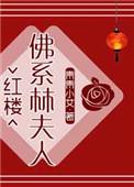 红楼佛系林夫人txt宝书网