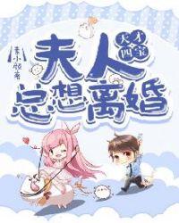 天才四宝爵爷娇妻是大佬