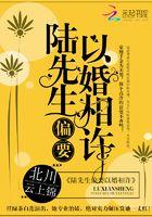 陆先生婚谋已久TXT免费阅读最新章节