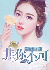 一夜沉婚原著