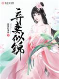 弃妻似锦大结局