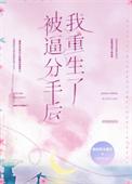 分手后我被女神求婚了短剧
