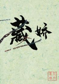 藏娇讲的什么