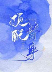 顶级替身
