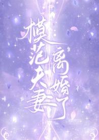 电视剧模范夫妻