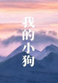 我的小狗章节列表