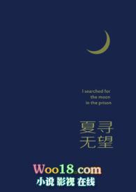 夏寻无望免费阅读