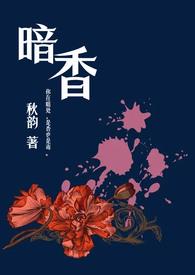暗香笔趣阁舅舅