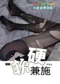 软硬兼施1.0汉化版