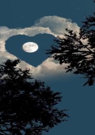 姐弟情深最新章节