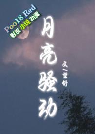 月亮骚动(py转正1v1h)大结局作者望舒