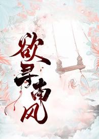 欲寻南风讲的什么