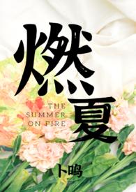 燃夏TXT笔趣阁