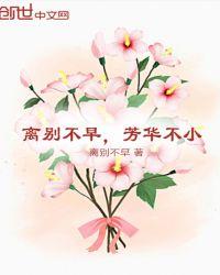 芳华不再下一句是什么